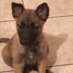 Meet your Posher, Enrique